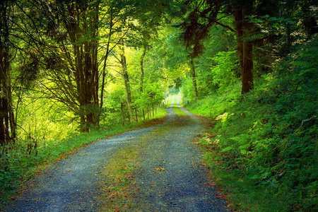 Bačenost i nabačaj – nužni pokušaj obrata prema pozitivnoj strani života!