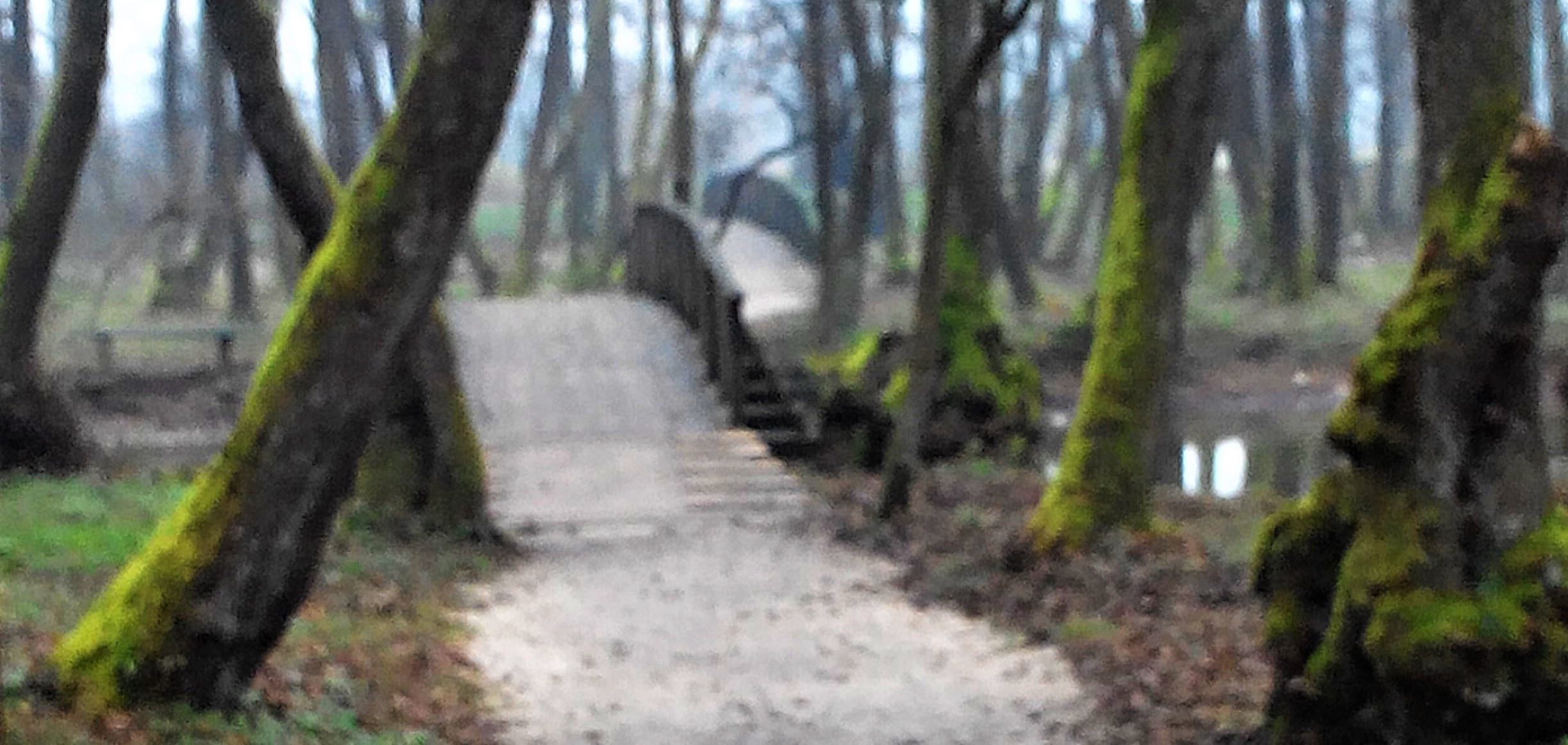 O OSJEĆAJIMA I DOGAĐAJIMA