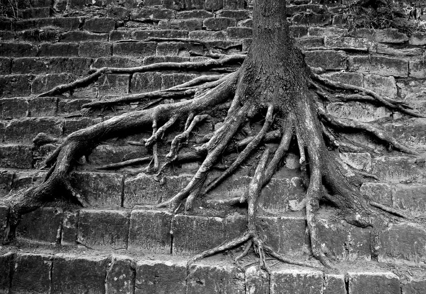 O snovima, malodušnosti i adaptivnosti