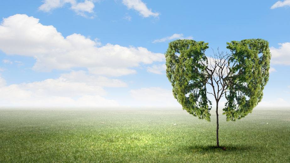 BLAGODATI PRAVILNOG DISANJA