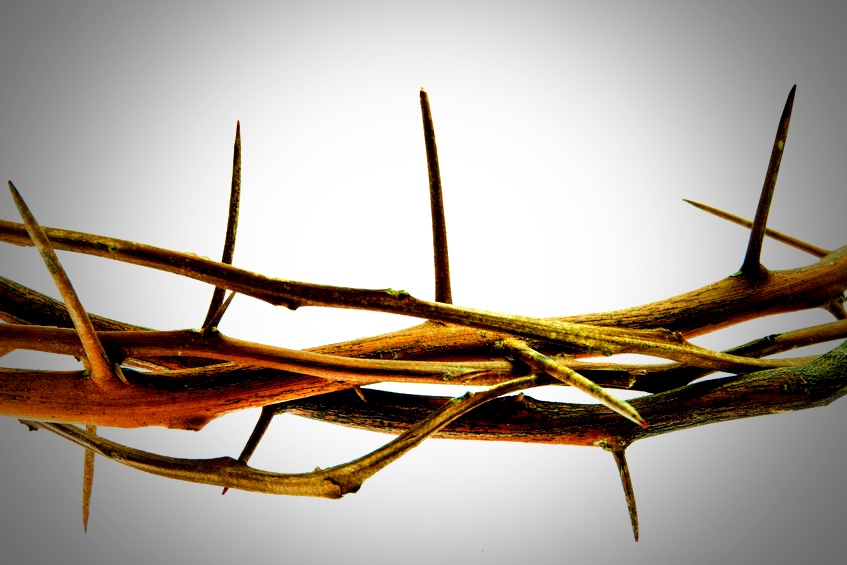 NEUROTIČKI STOICIZAM I ILUZIJA IDEALNIH ŽIVOTA